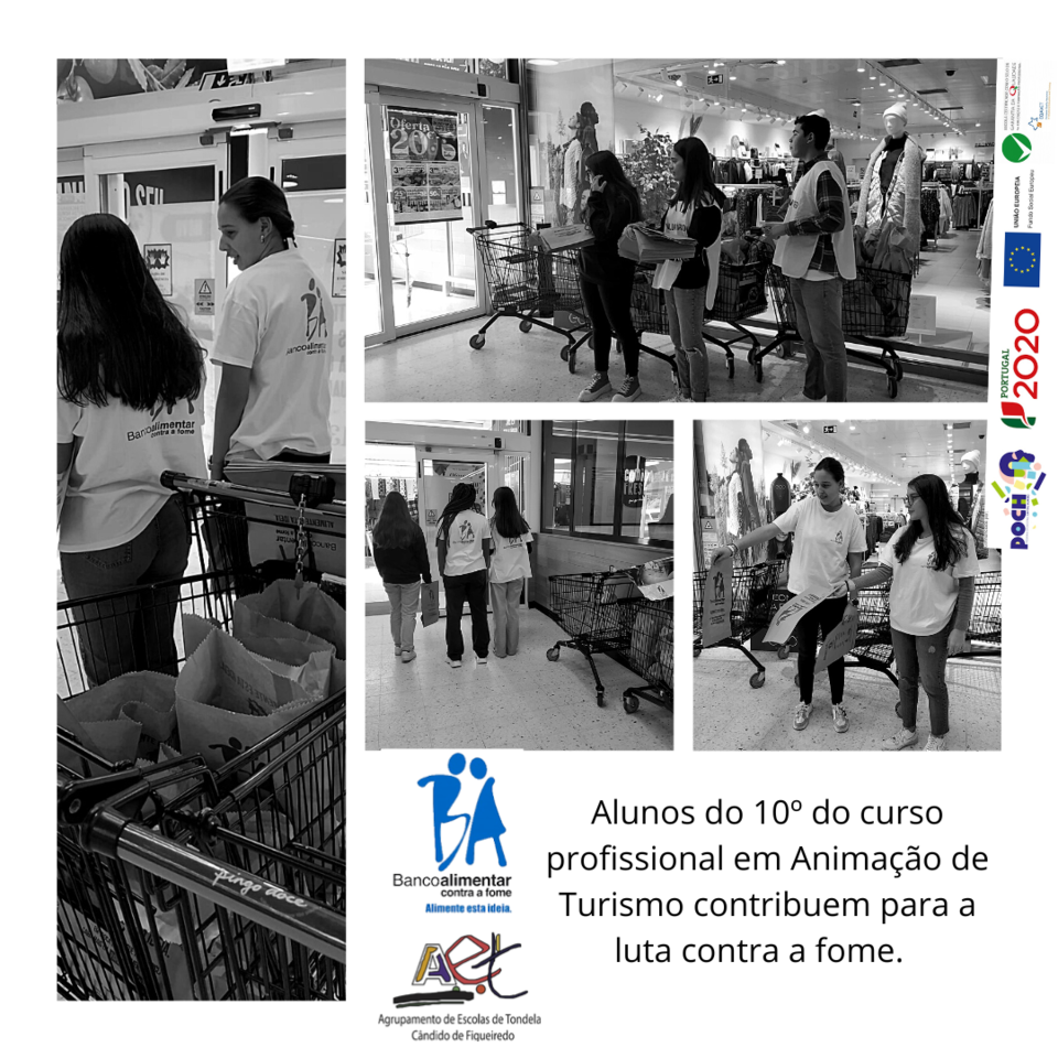 banco alimentar contra a fome.png