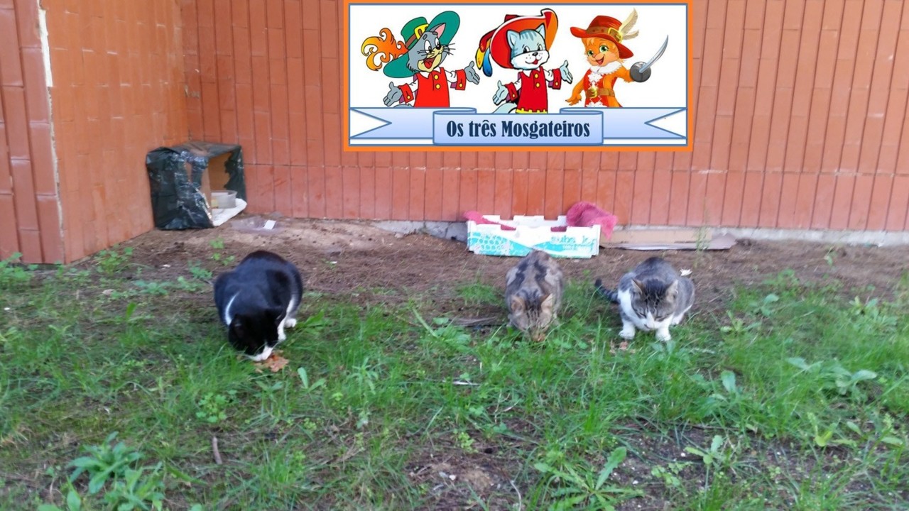 tresmosgateiros0.jpg
