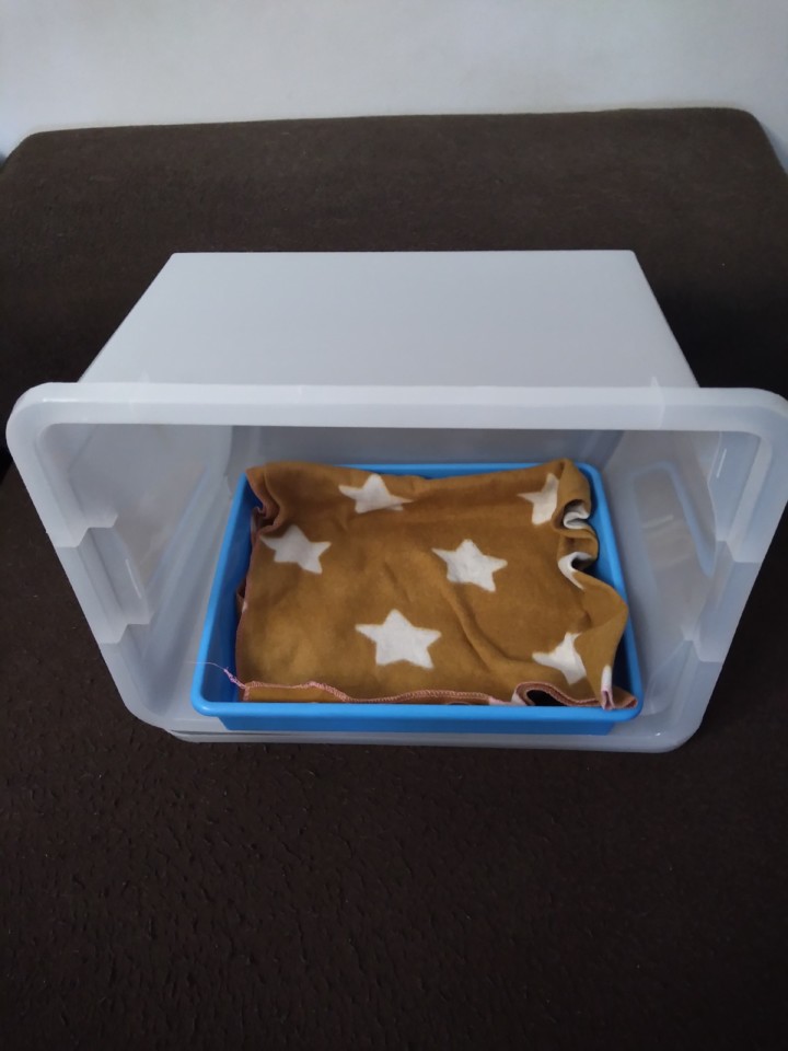 IMG_20190920_154549.jpg IMG_20190920_154549.jpg