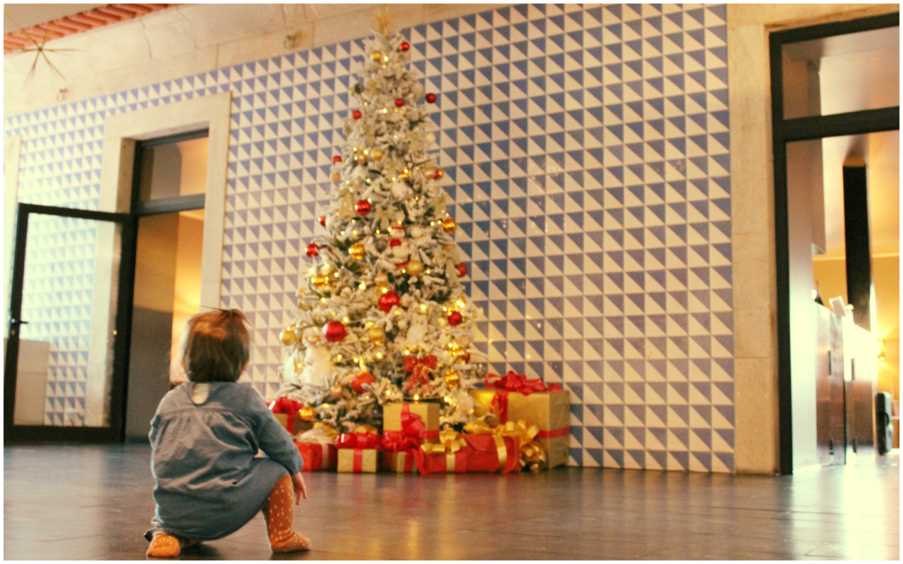 Douro Royal Valley e Douro Palace