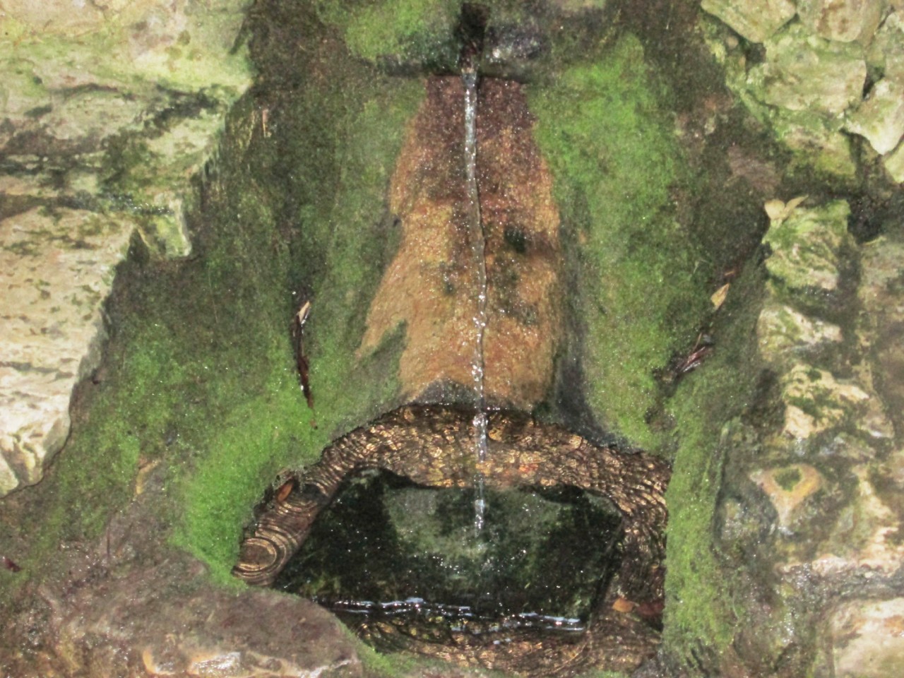 IMG_6661.JPG IMG_6661.JPG