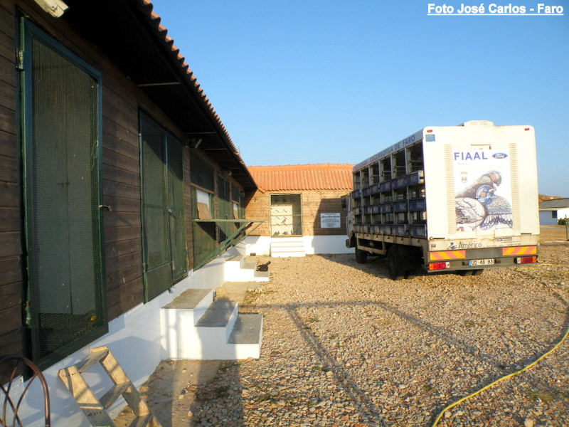 Derby Faro 2016 001.JPG