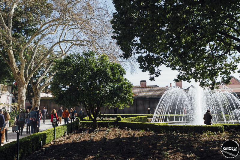 Palacio_de_Belem_Graziela_Costa-28.JPG
