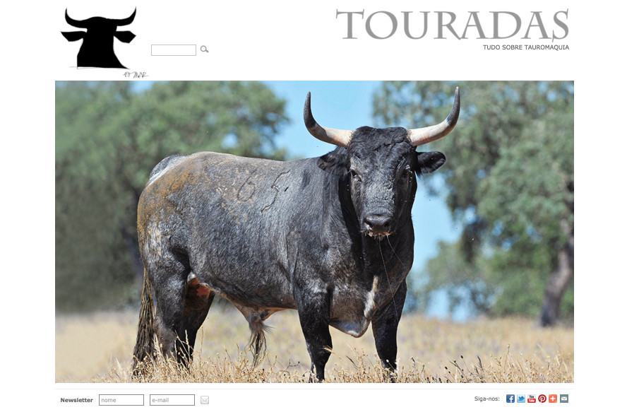 PROTOIRO - Federação Portuguesa de Tauromaquia 2