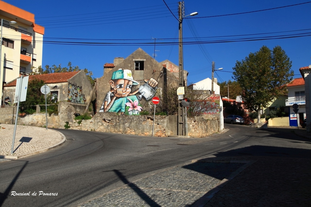 Street Art em Agualva Cacem (004)