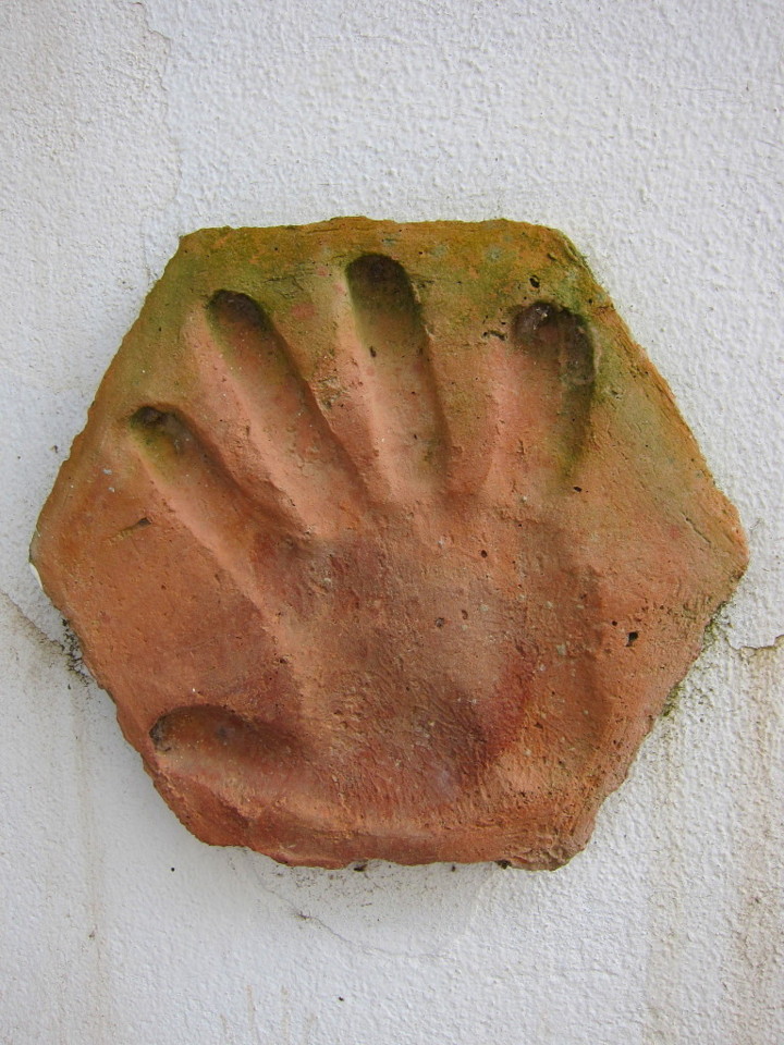 IMG_0950.jpg IMG_0950.jpg