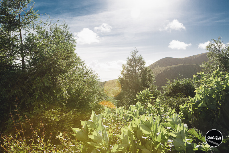 Acores_Sao_Miguel_Graziela_Costa-9723.jpg