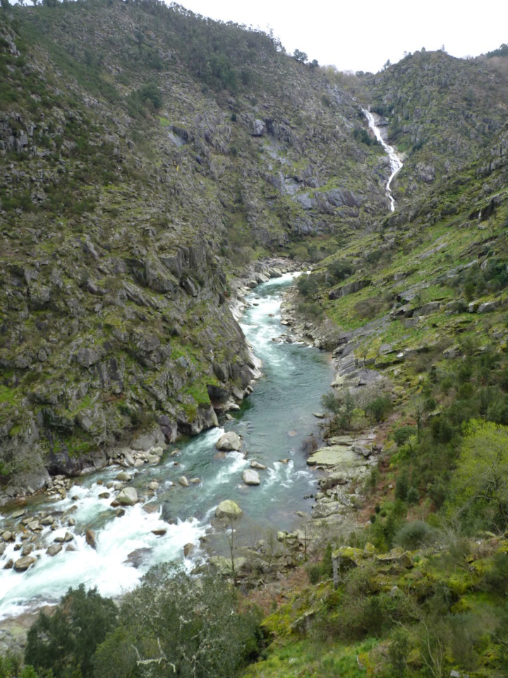 Paiva (12).JPG Paiva (12).JPG