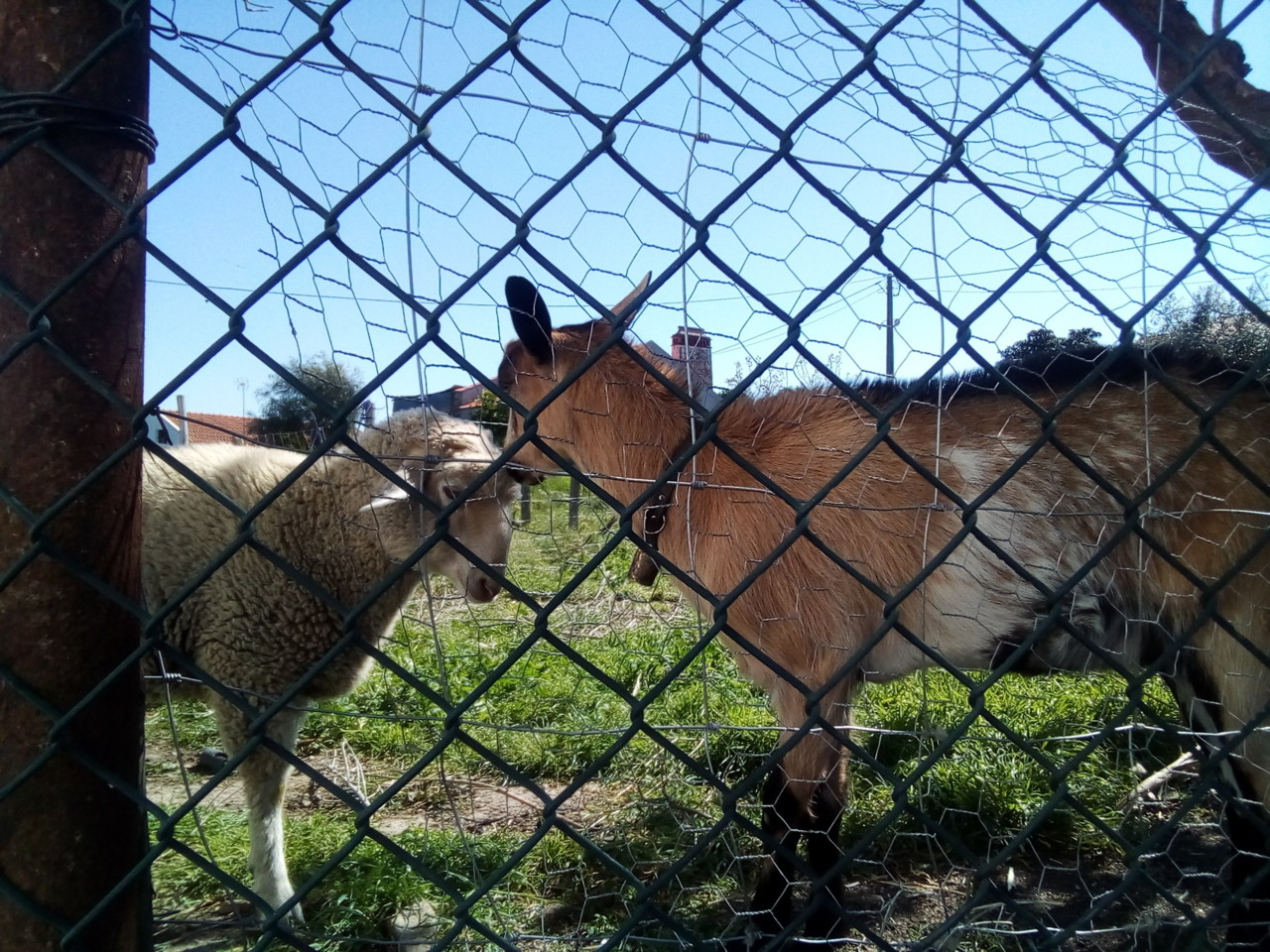 IMG_20190328_110049.jpg IMG_20190328_110049.jpg