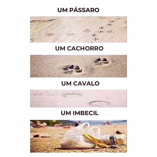 53565144_2289290911092087_6102674309774056419_n.jp