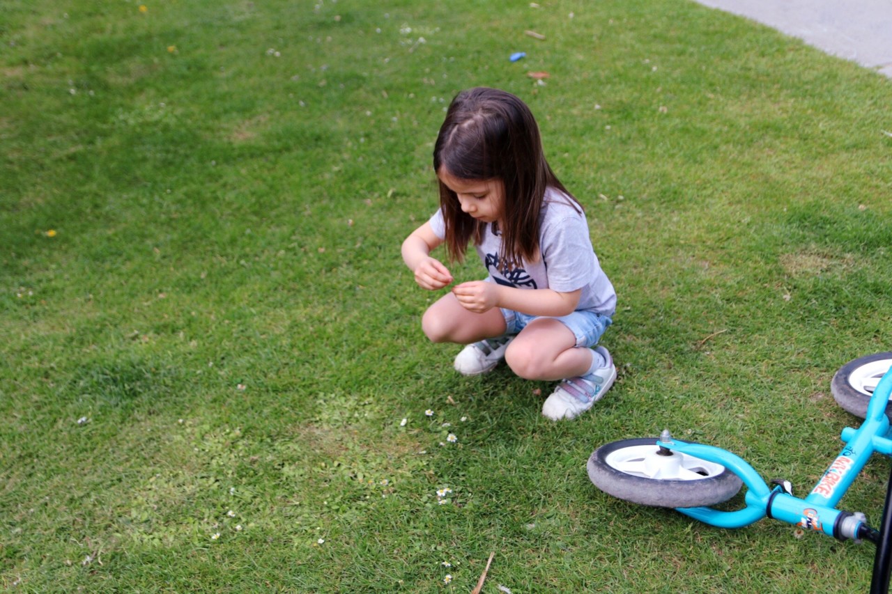 manter uma rotina na quarentena