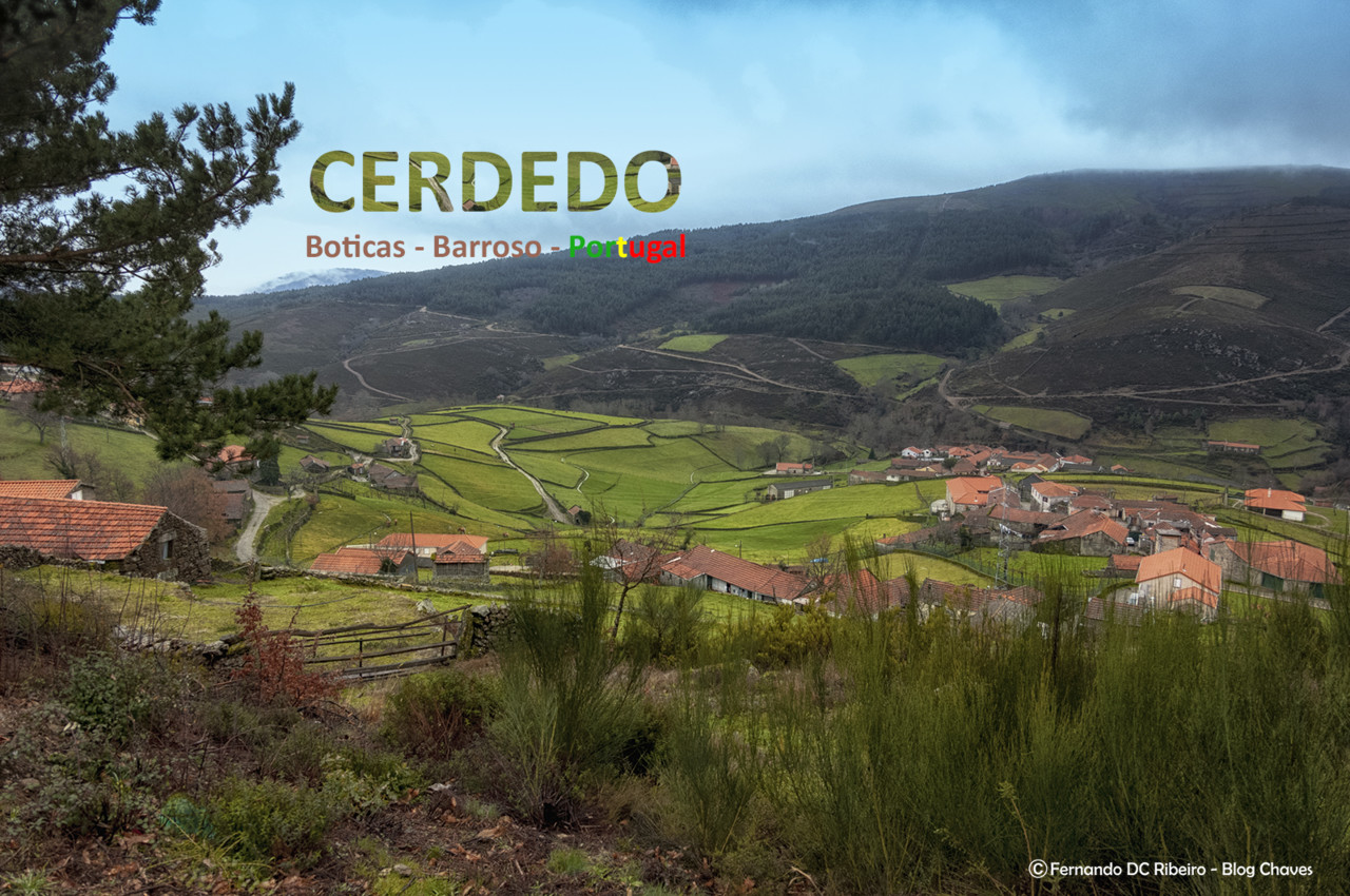 1600-cerdedo (44)-1.jpg