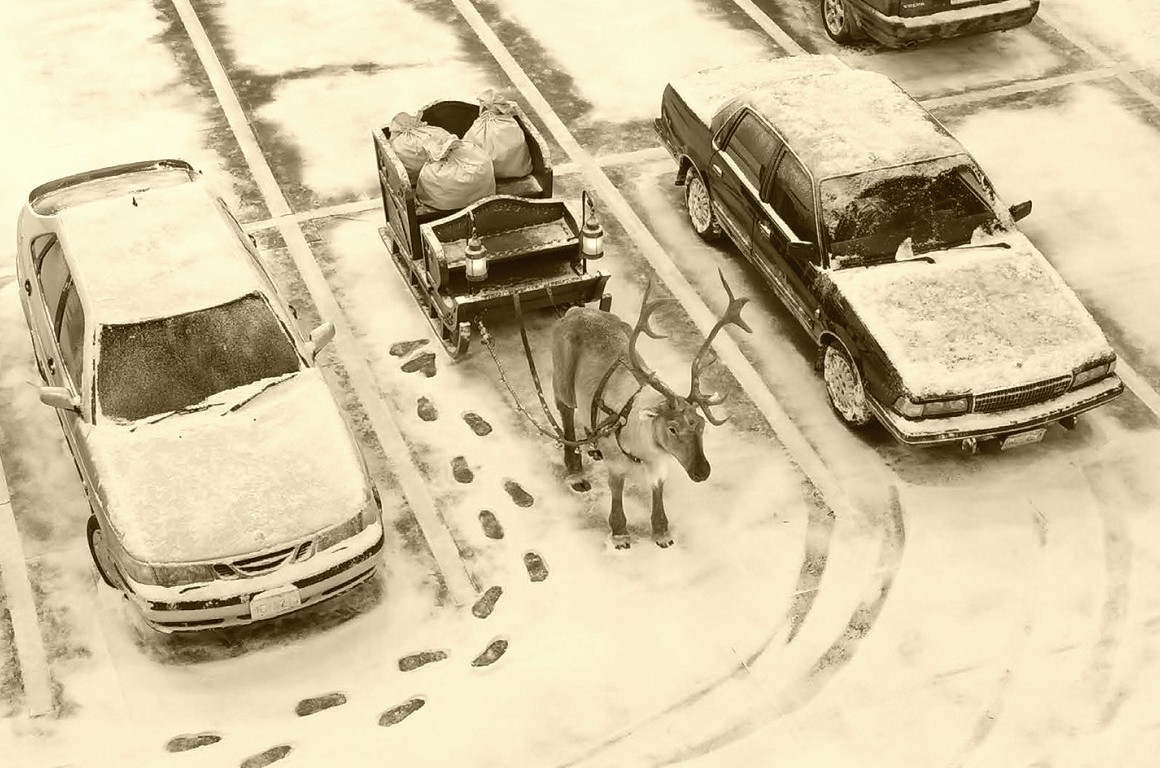 Santa's Black Friday 2021