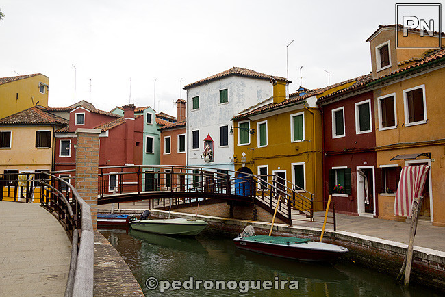 _MG_1175 650px.jpg _MG_1175 650px.jpg