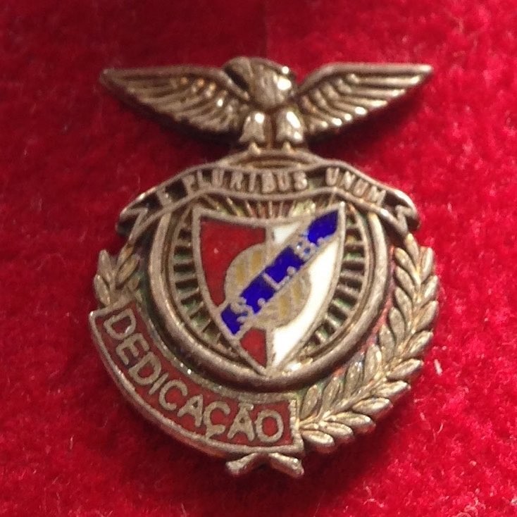 benfica dedicação.jpg