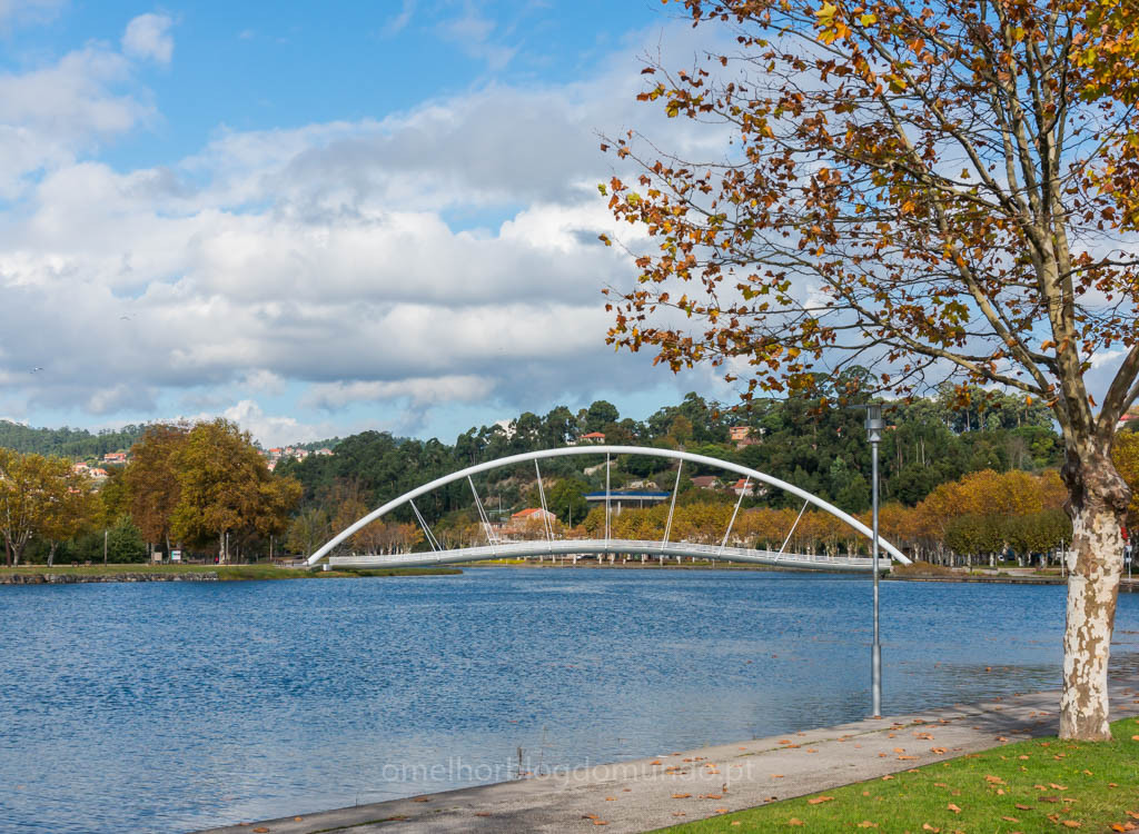 DSC03534.jpg DSC03534.jpg