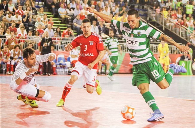 ng4196474.JPG ng4196474.JPG