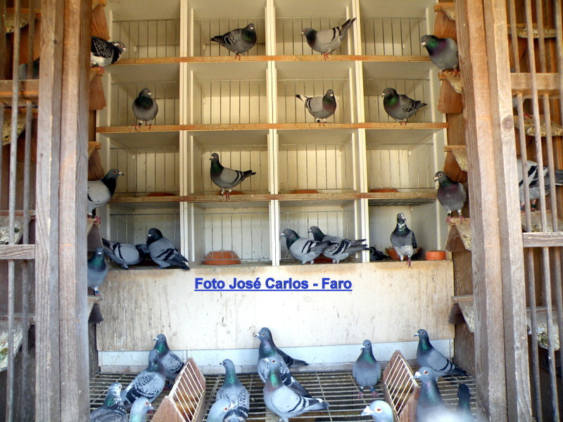 Lagos 013.JPG Lagos 013.JPG