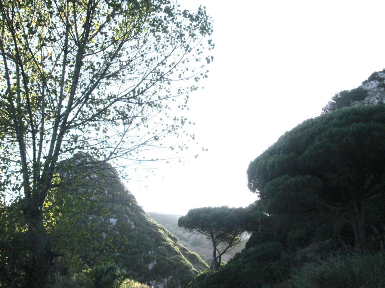 IMG_6685.JPG IMG_6685.JPG