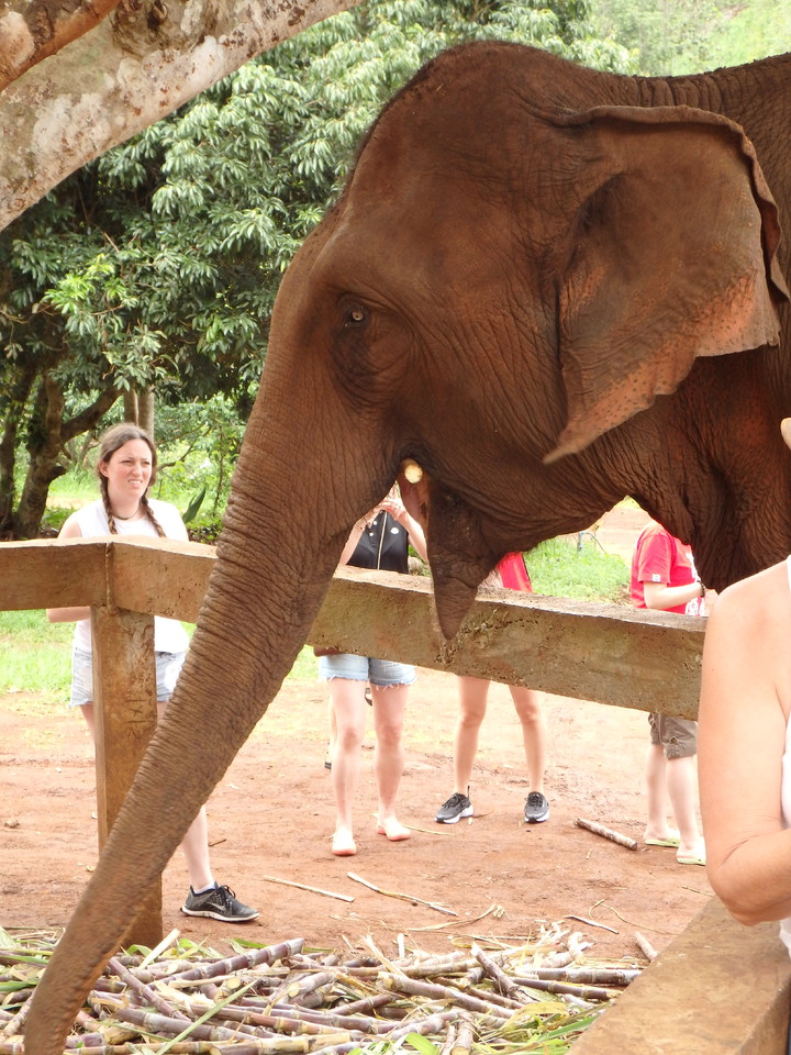 P6103915.JPG P6103915.JPG