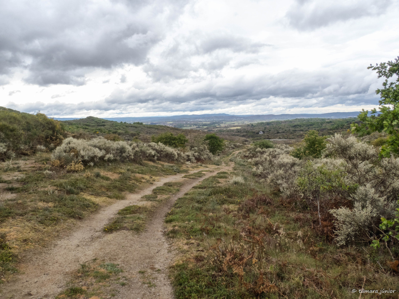 CPIS - 2ª etapa (Verín-Viladerrei) (183).jpg