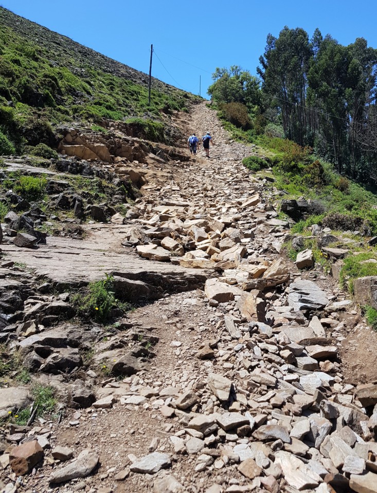 20180616_124347.jpg 20180616_124347.jpg