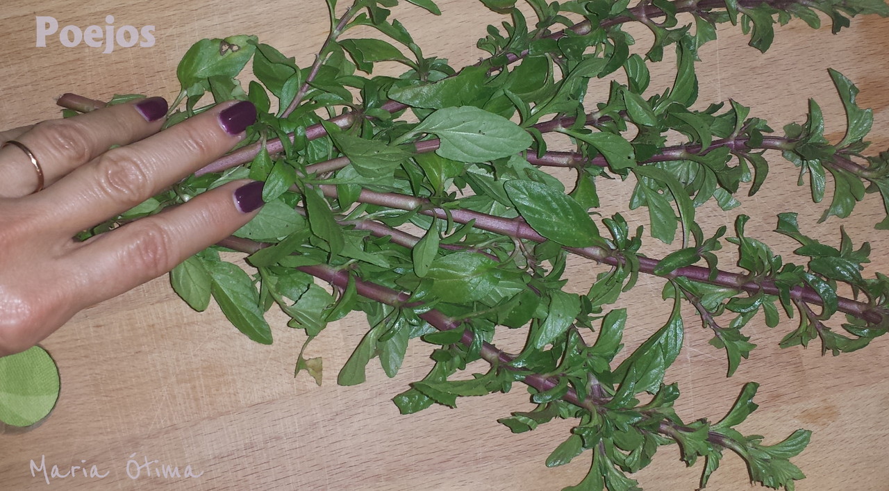 Poejos_Maria Ótima3.jpg