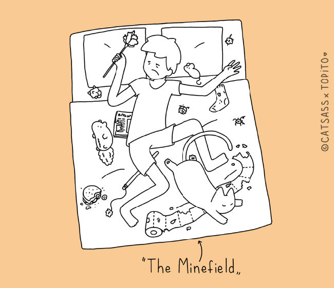 Cat Ass-10.jpg Cat Ass-10.jpg