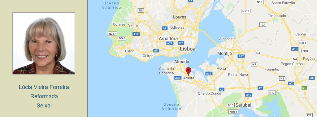 Cabeçalho - Lúcia Ferreira - 1024 x 380.png