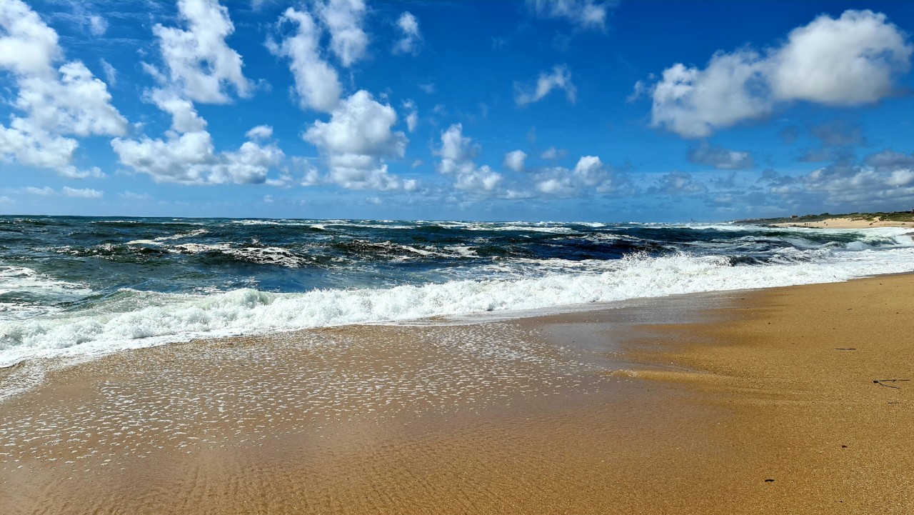 20210516_161933.jpg 20210516_161933.jpg