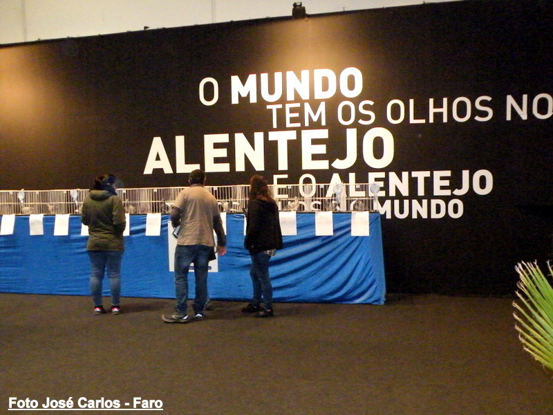 Feira Ibérica Beja 2018 057.JPG Feira Ibérica Beja 2018 057.JPG