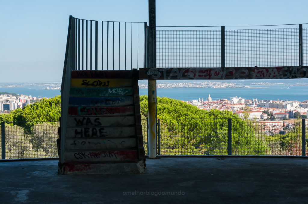 DSC02176.jpg DSC02176.jpg