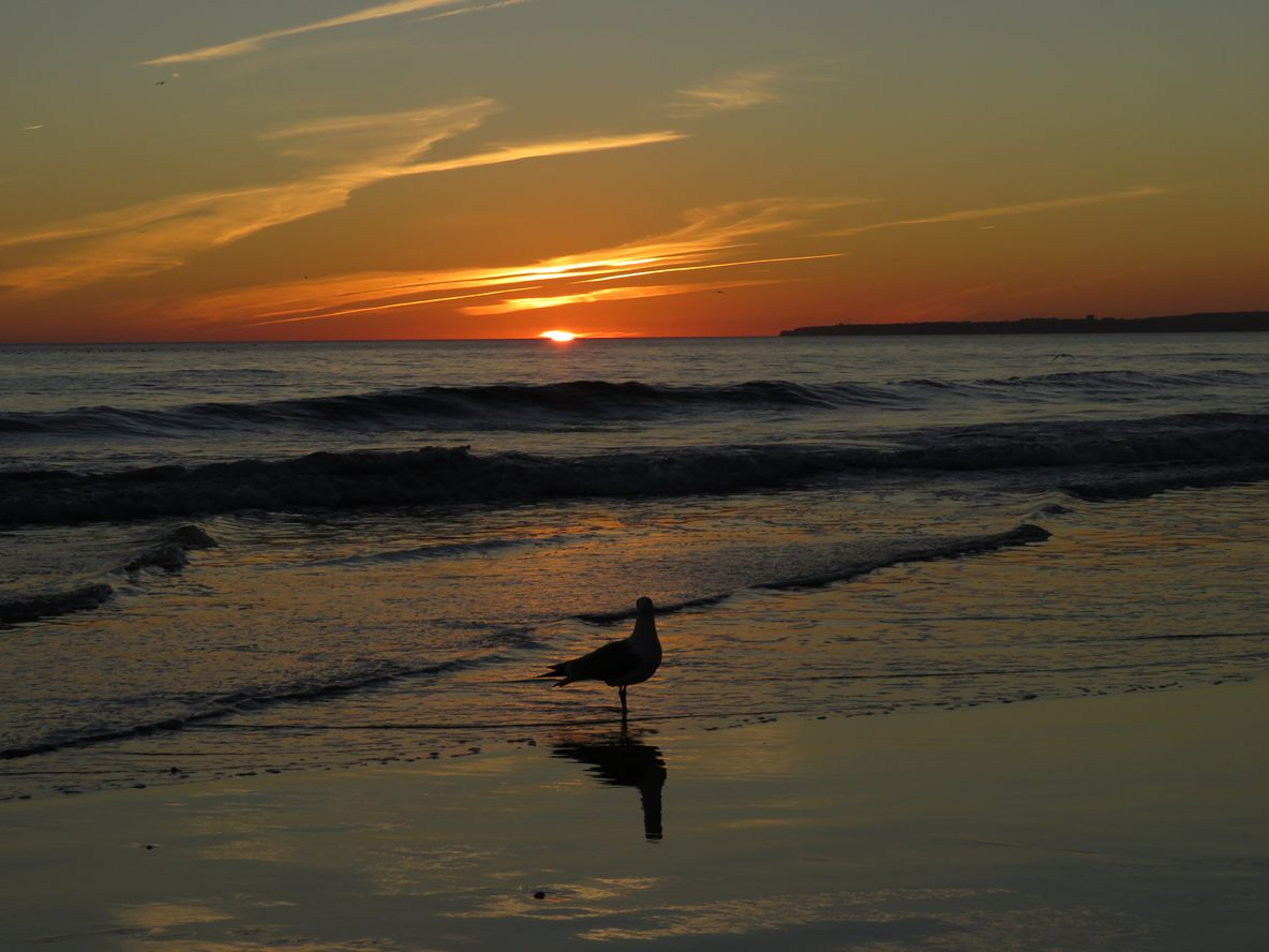 E1CDB3E3-0DA5-4A40-9C01-5B303E631812.png E1CDB3E3-0DA5-4A40-9C01-5B303E631812.png