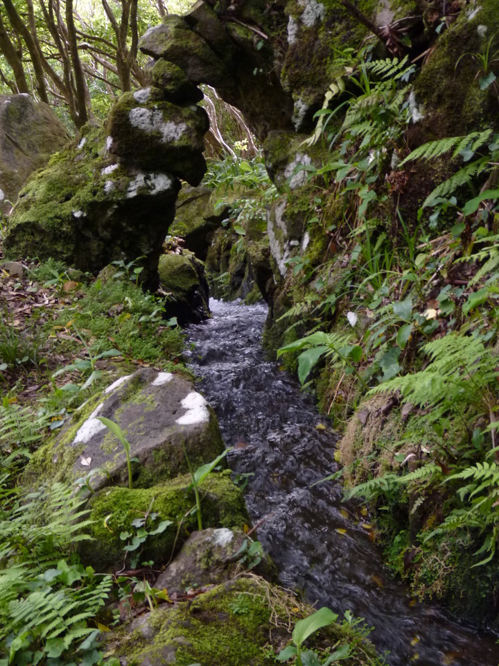 Percurso até ao Poço da Ribeira do Ferreiro - Il