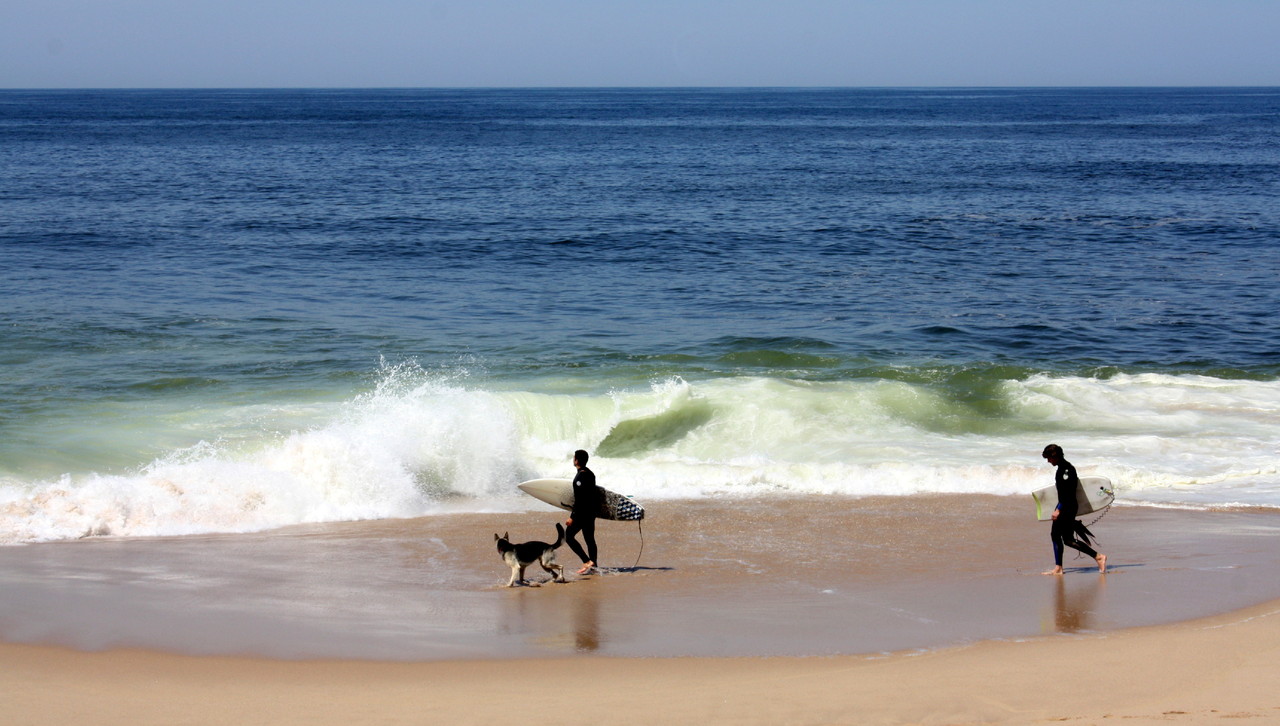 IMG_1260.JPG IMG_1260.JPG