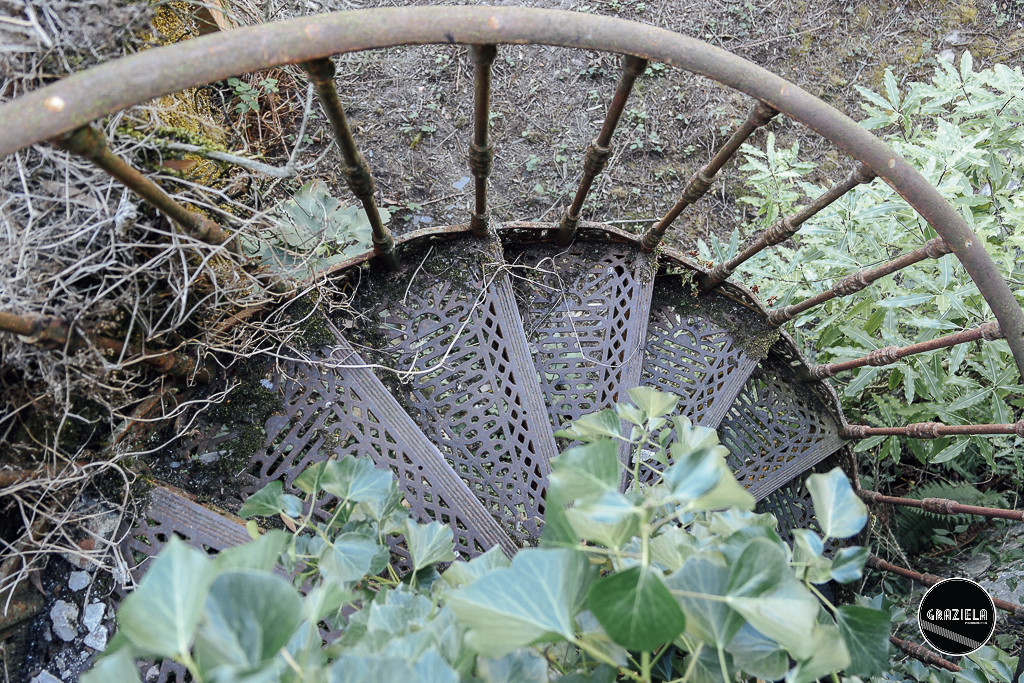 Luso_Bussaco-4012.jpg Luso_Bussaco-4012.jpg