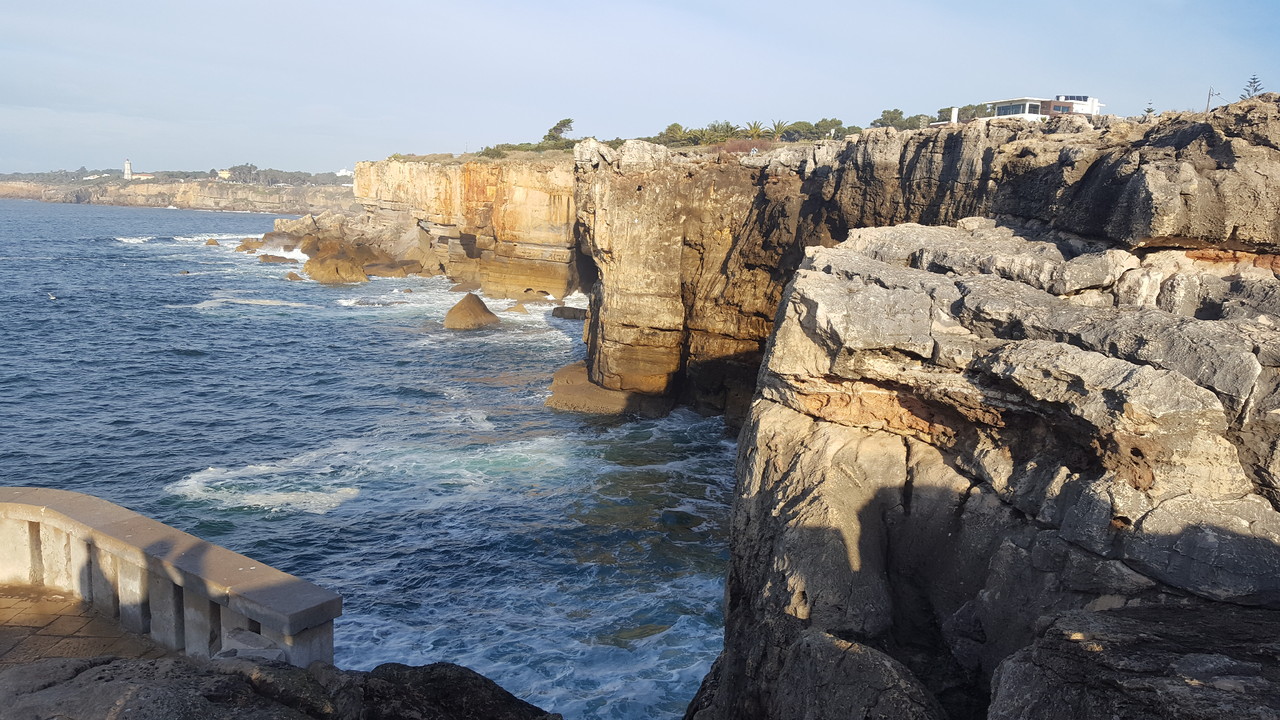 20170122_093132.jpg 20170122_093132.jpg