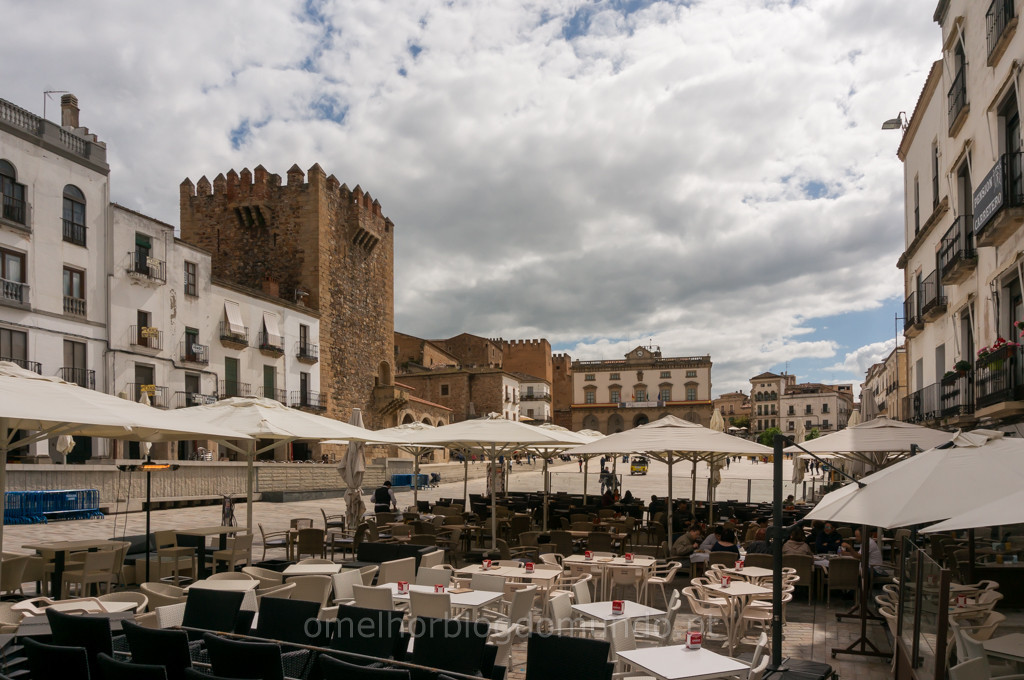 _DSC6363.jpg _DSC6363.jpg