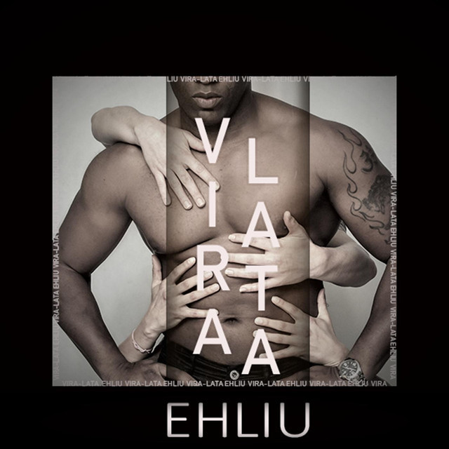 Ehliu_Vira Lata.png