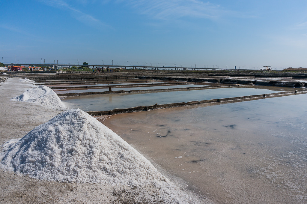 DSC04993.jpg DSC04993.jpg