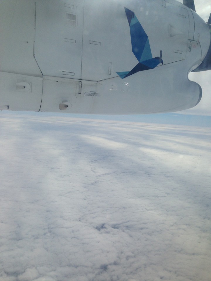 fotografia 1.JPG