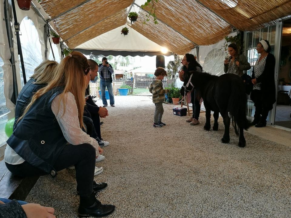 14696755_10155300023442786_99333500_n.jpg 14696755_10155300023442786_99333500_n.jpg