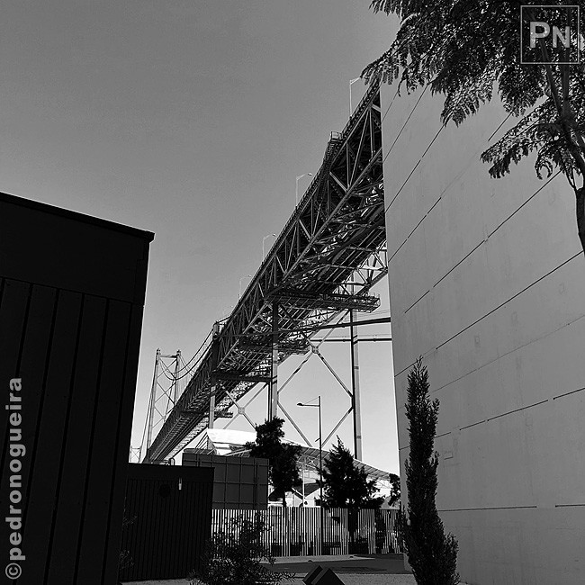 Jul_2018_161a 650px.jpg Jul_2018_161a 650px.jpg