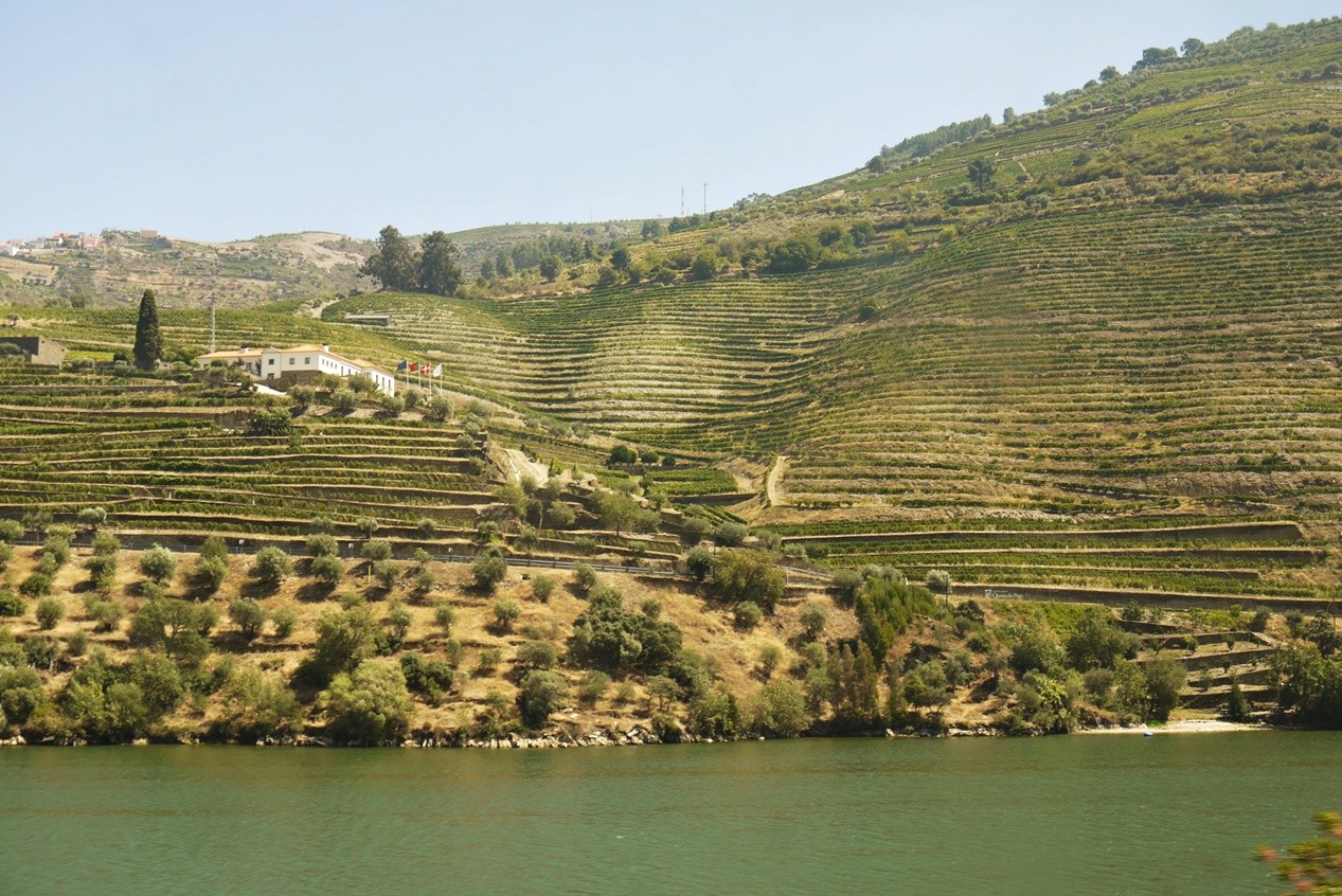 Linha do douro2.JPG