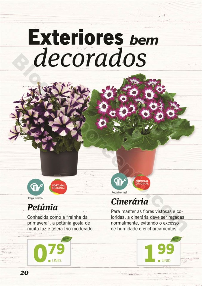 plantas_lidl_mercado_019.jpg