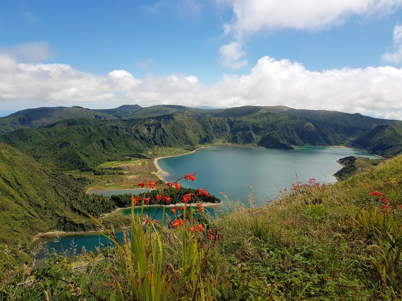 20170820_131552.jpg 20170820_131552.jpg