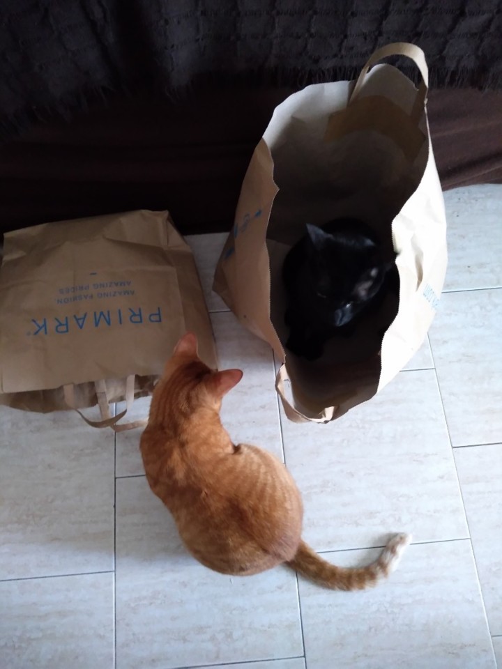 SquarePic_20190801_12255368.jpg SquarePic_20190801_12255368.jpg