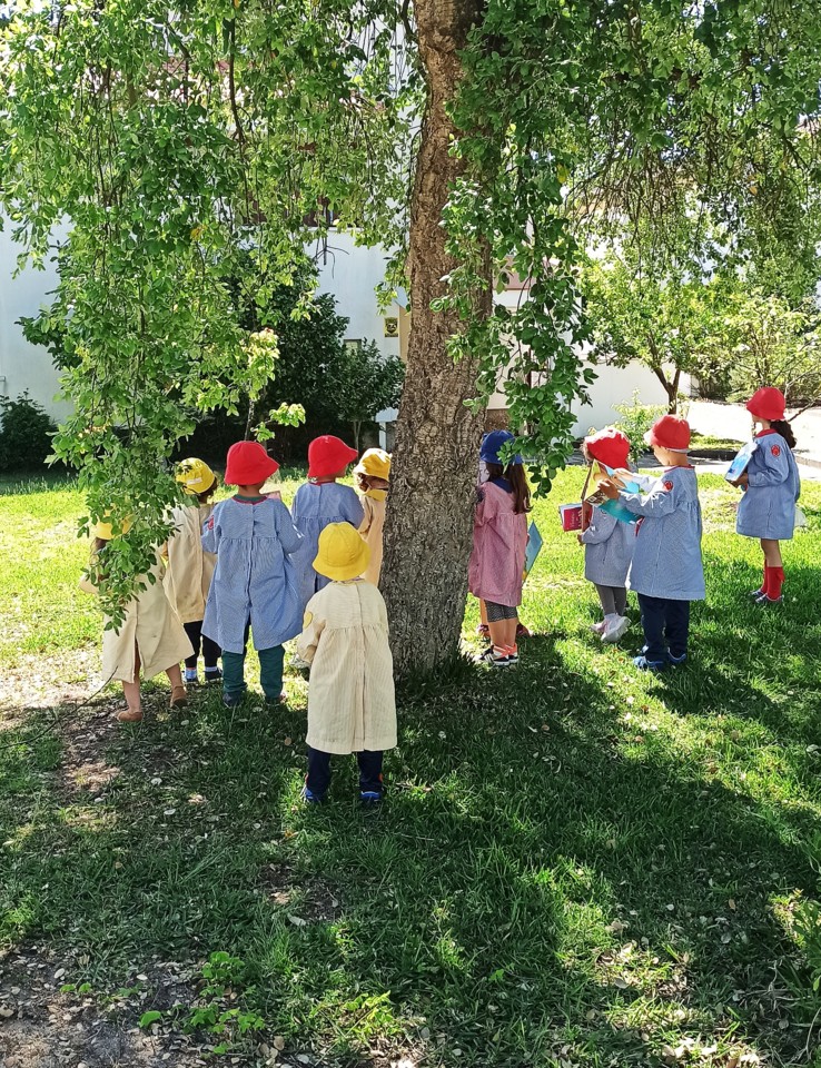 IMG_20210526_114517.jpg IMG_20210526_114517.jpg