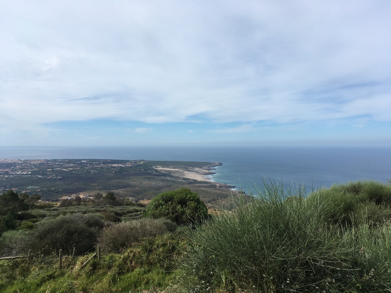 IMG_6603.JPG IMG_6603.JPG