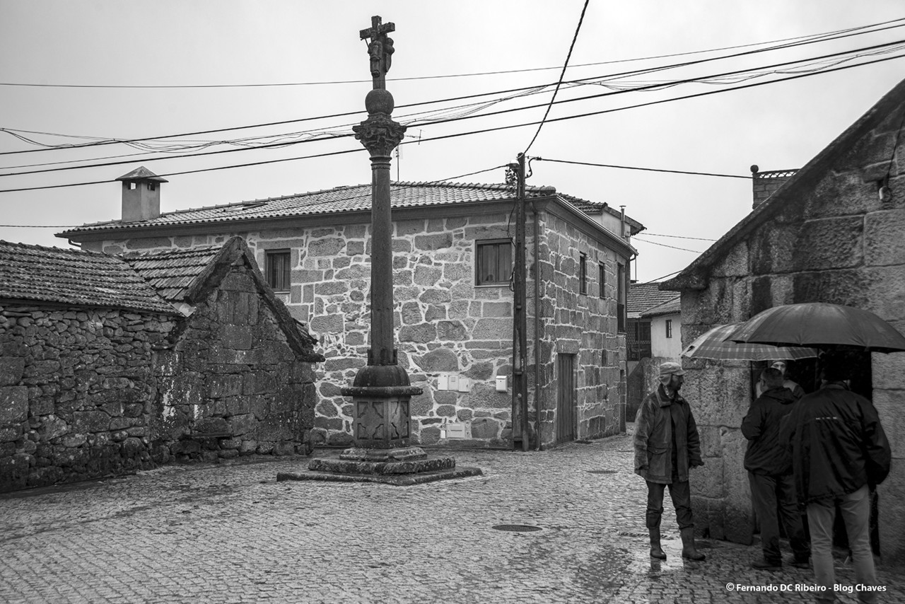 1600-covas (317).jpg